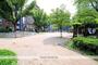 公園　新阿波座公園（公園）まで170m