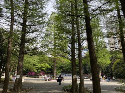 公園　東池袋中央公園（公園）まで155m