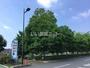 公園　おおね公園（公園）まで1087m