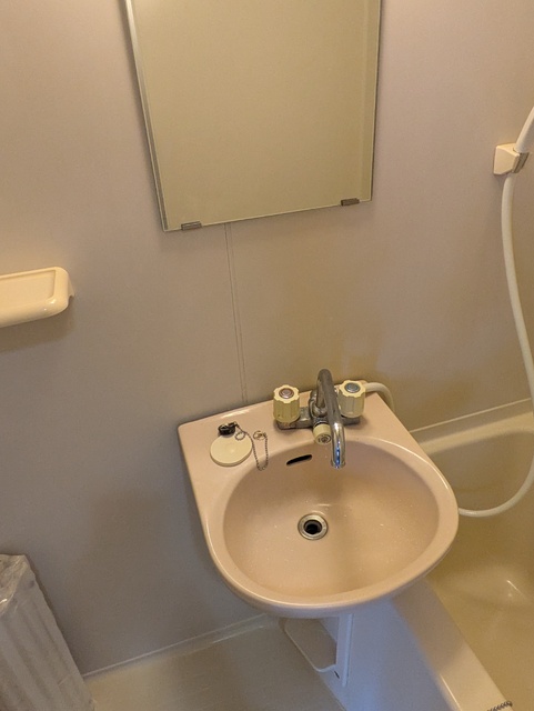 洗面設備　清掃前、参考写真