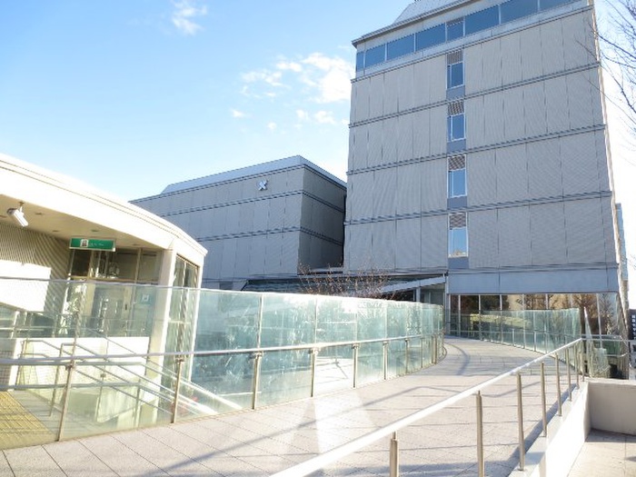 大学・短大　私立慶應義塾大学日吉キャンパス（大学・短大）まで553m