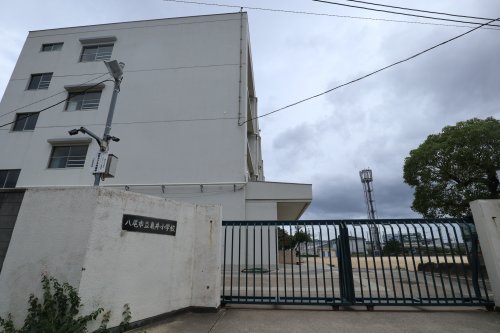 小学校　八尾市立亀井小学校（小学校）まで1101m
