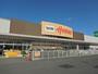 ホームセンター　DCMホーマック神楽店（ホームセンター）まで803m