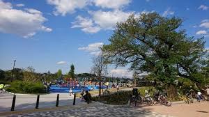 公園　下高井戸おおぞら公園（公園）まで220m