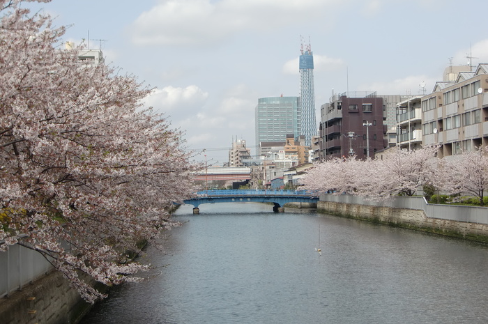 公園　大横川親水公園（公園）まで164m
