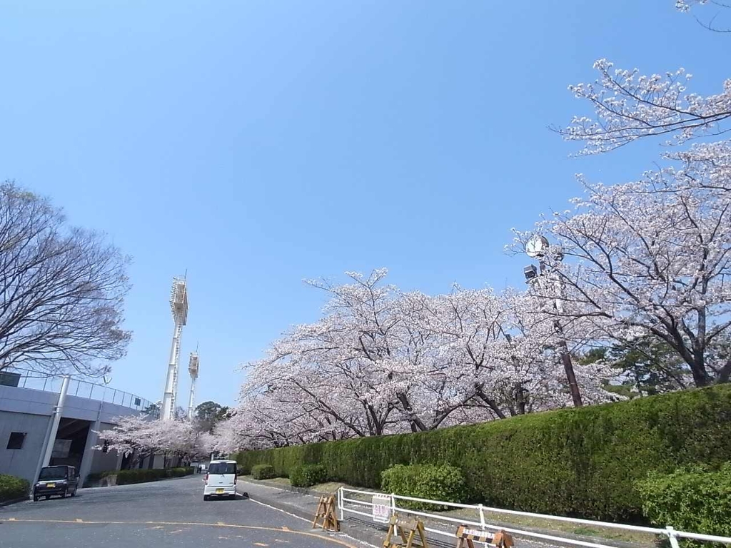 【カーサ　フォンターナの公園】