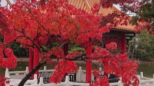 公園　緑ケ丘公園（公園）まで825m