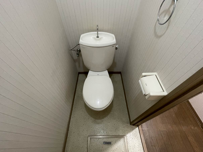 ホワイトスウィングのトイレ写真