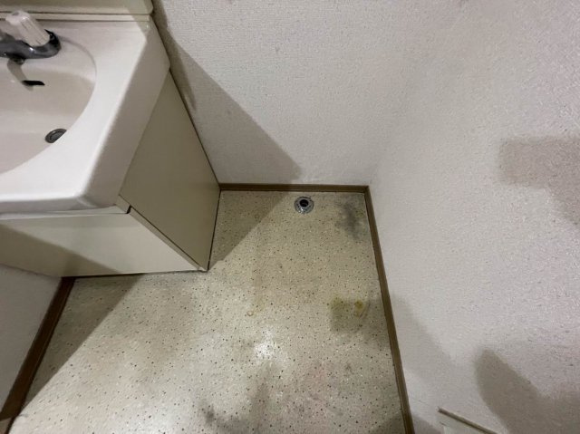 ホワイトスウィングのその他写真