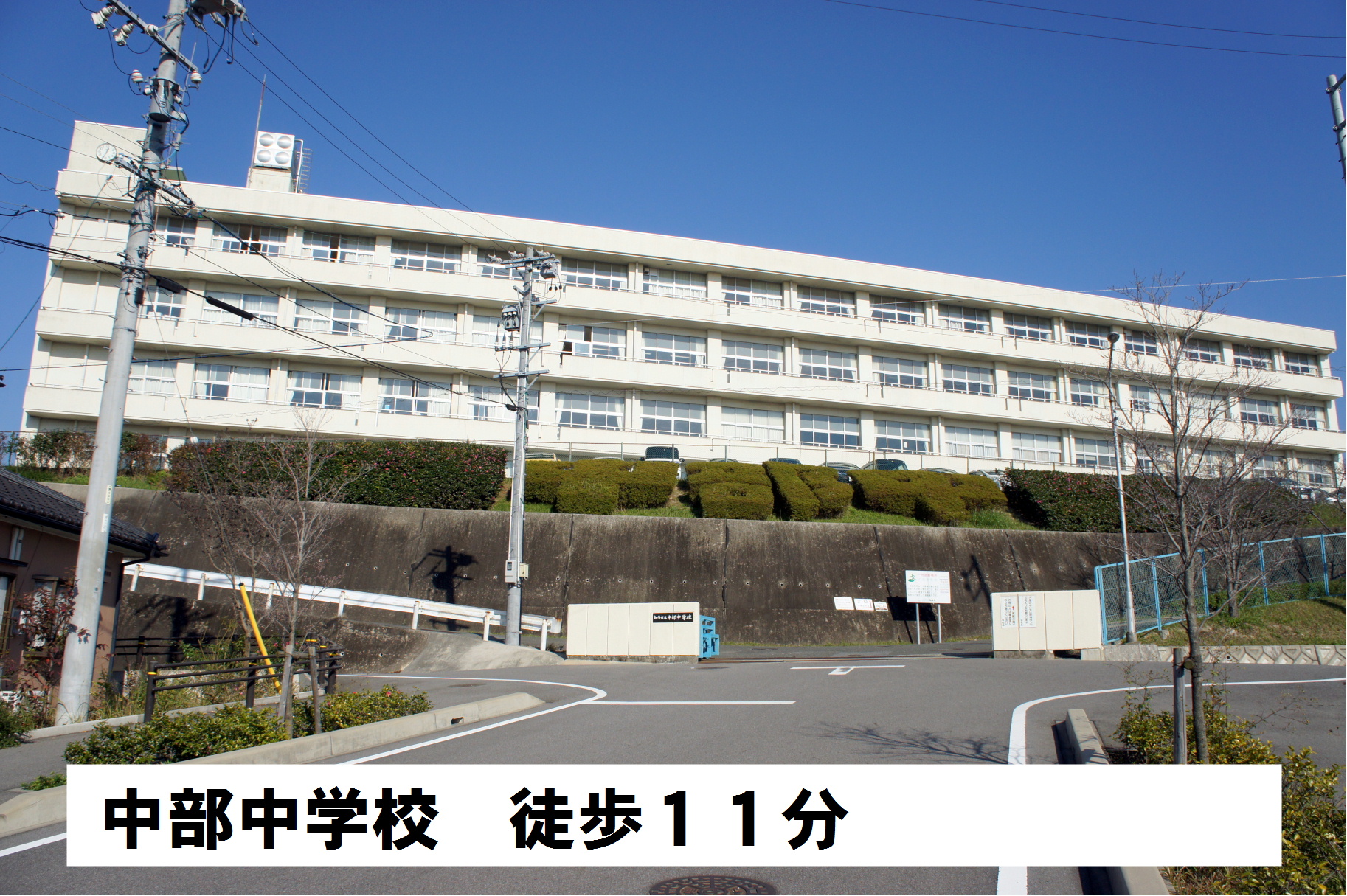 中学校　知多市立中部中学校（中学校）まで870m