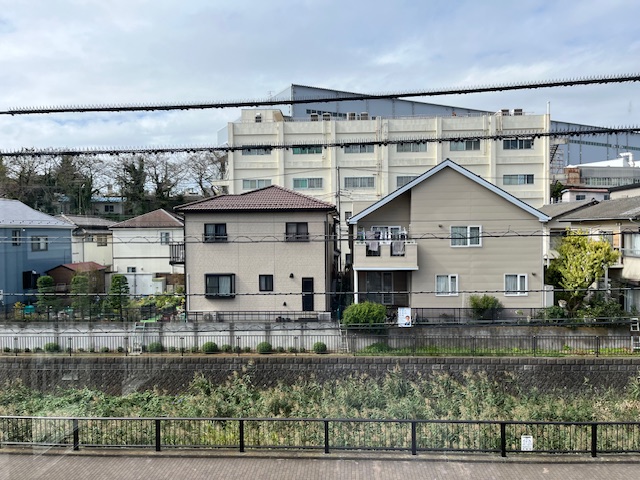 ビレーラのその他写真