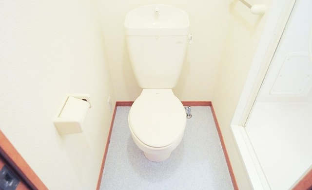 トイレ　写真は別号室のものです。