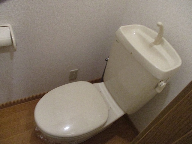 【グリーンパレスIIIのトイレ】