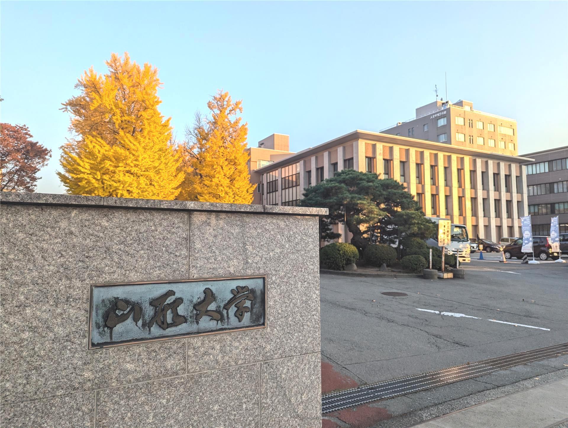 大学・短大　国立山形大学（大学・短大）まで1263m