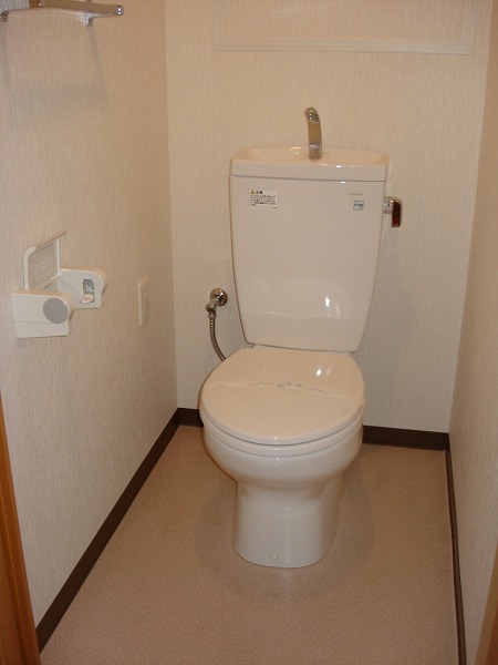 東武伊勢崎線 越谷駅 徒歩8分 8階建 築21年のトイレ写真