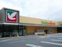 スーパー　ヨークベニマル つくば竹園店（スーパー）まで1150m