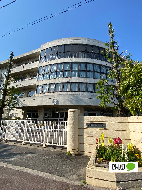 中学校　市川市立妙典中学校（中学校）まで266m