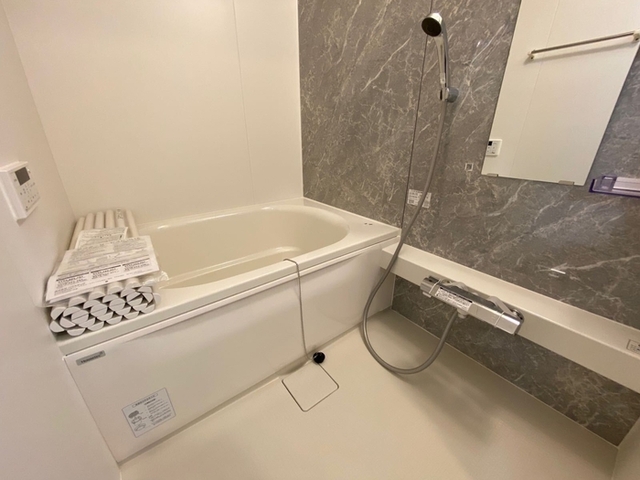 バス・シャワールーム　２０３号室　浴室