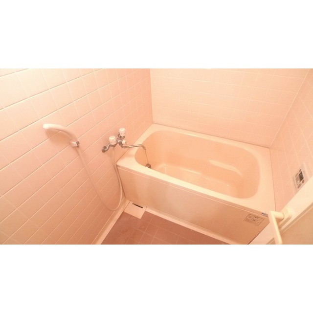 バス・シャワールーム　同タイプ・別部屋画像