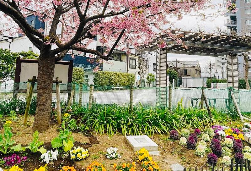公園　白鳥南公園（公園）まで141m