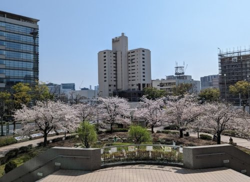 公園　晴海第三公園（公園）まで193m