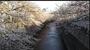 公園　落合中央公園（公園）まで628m