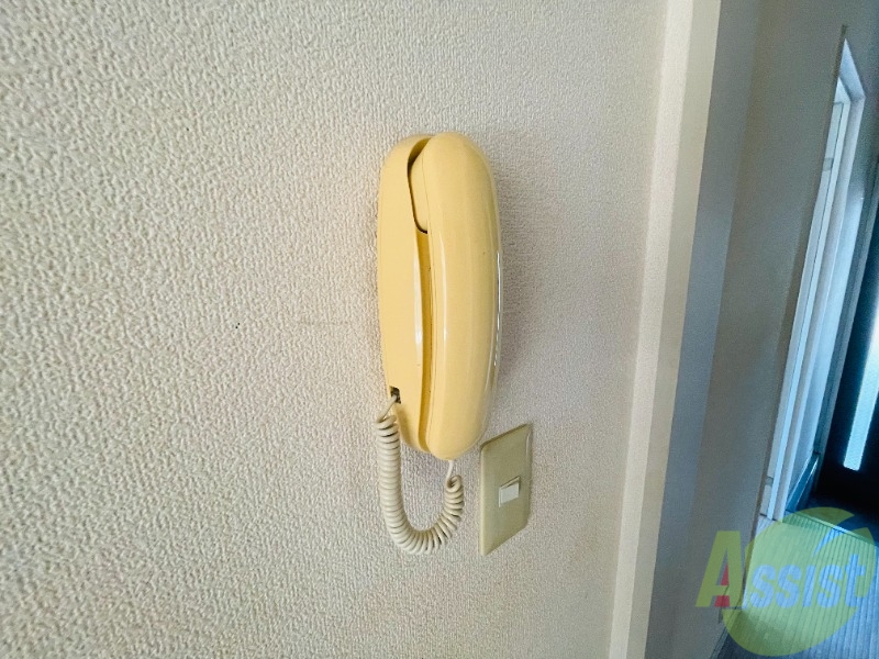 サンフローラのその他写真