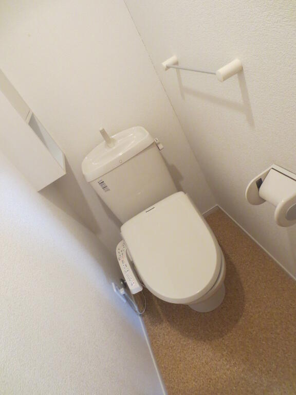 ＪＲ常磐線 勝田駅 徒歩43分 2階建 築15年のトイレ写真