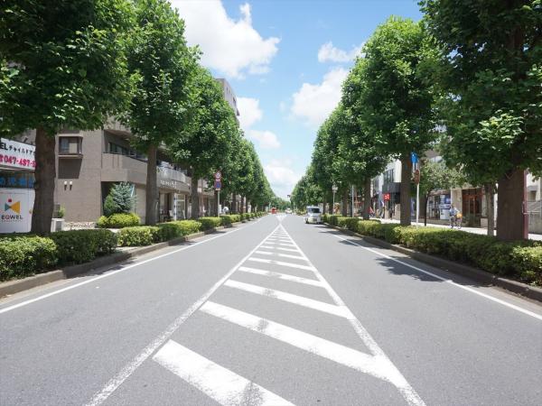 その他　現地周辺街並み（その他）まで5m