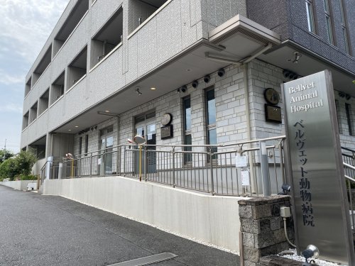 病院　ベルヴェット動物病院（病院）まで605m