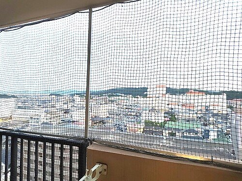 その他　南向きバルコニーからの眺望　※2026年9月撮影