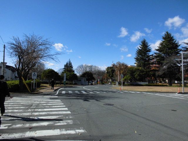 【前橋市総社町植野のアパートの写真】