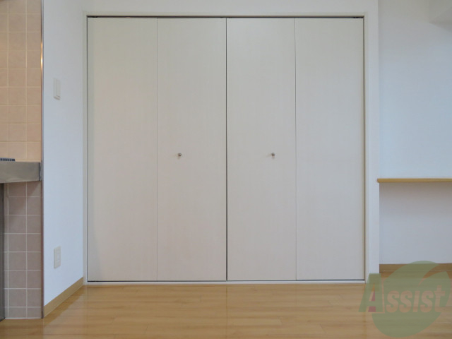 収納　クローゼットはこちらですね、しっかりとした大きさですね。