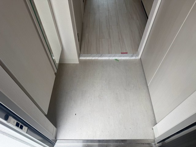 玄関　※カラータイプは写真と異なります。