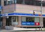 コンビニ　ローソン 恵比寿三丁目店（コンビニ）まで540m