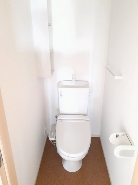 セイバリーレジデンスIIIのトイレ写真