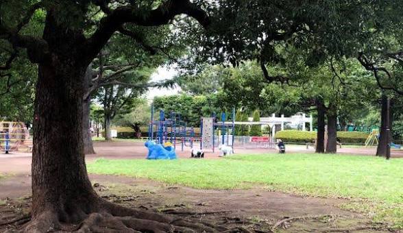 公園　玉川野毛町公園（公園）まで259m