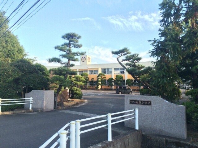 【dorado Tの小学校】