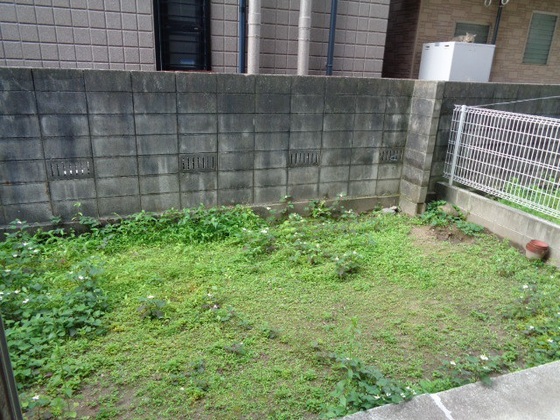 庭　※別室の写真を使用しております※