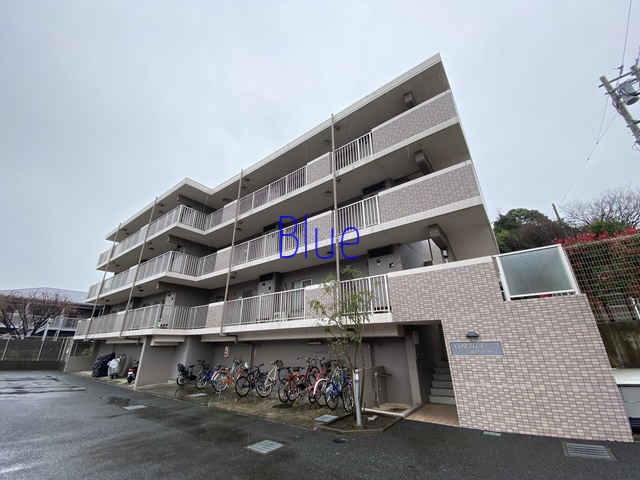 神奈川県藤沢市大庭（マンション）の賃貸物件の外観