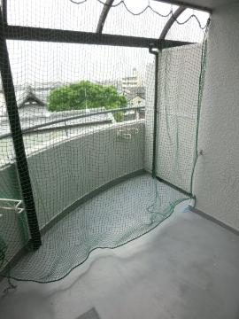 サンハイツⅠ　バルコニー　バルコニー
