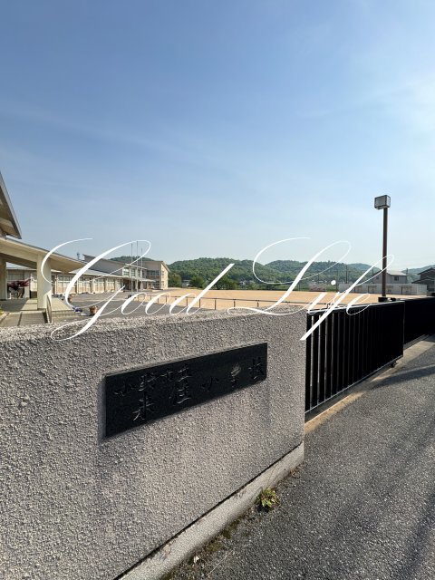 小学校　小野市立来住小学校（小学校）まで794m