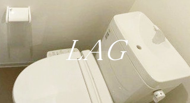 トイレ　トイレです。（同仕様です。）