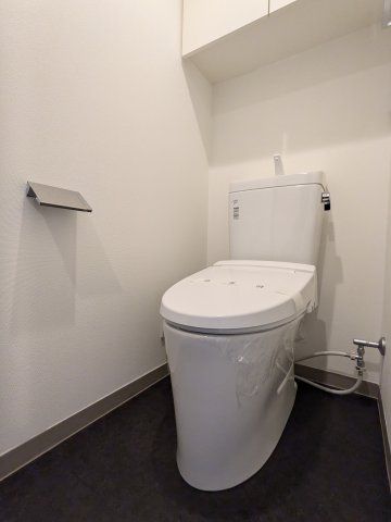 ケーディーエックスレジデンス豊洲のトイレ写真