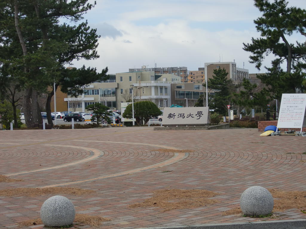 【シャンブル・サムタイムズの大学・短大】