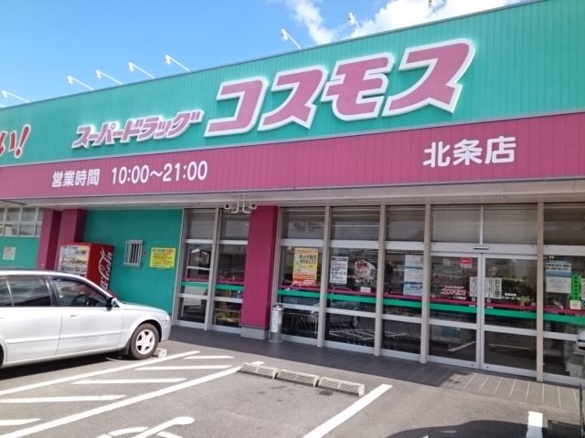 【松山市府中のアパートのドラックストア】