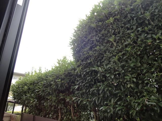 眺望　★風通しの良さそうな景色です★