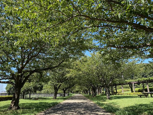 その他　引地川親水公園（その他）まで531m