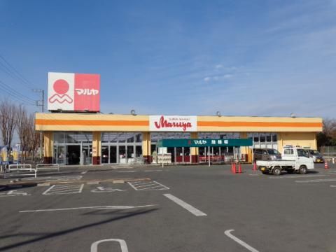 スーパー　マルヤ新木店（スーパー）まで721m