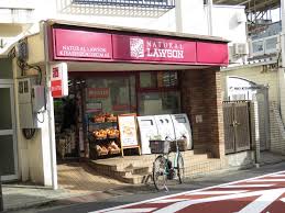 コンビニ　ナチュラルローソン NL北千束駅前店（コンビニ）まで456m